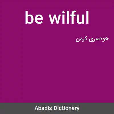 معنی be wilful